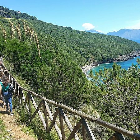 Residence Li Cylentos Policastro Scario A 2 Passi Dal Mare Policastro Bussentino Εξωτερικό φωτογραφία