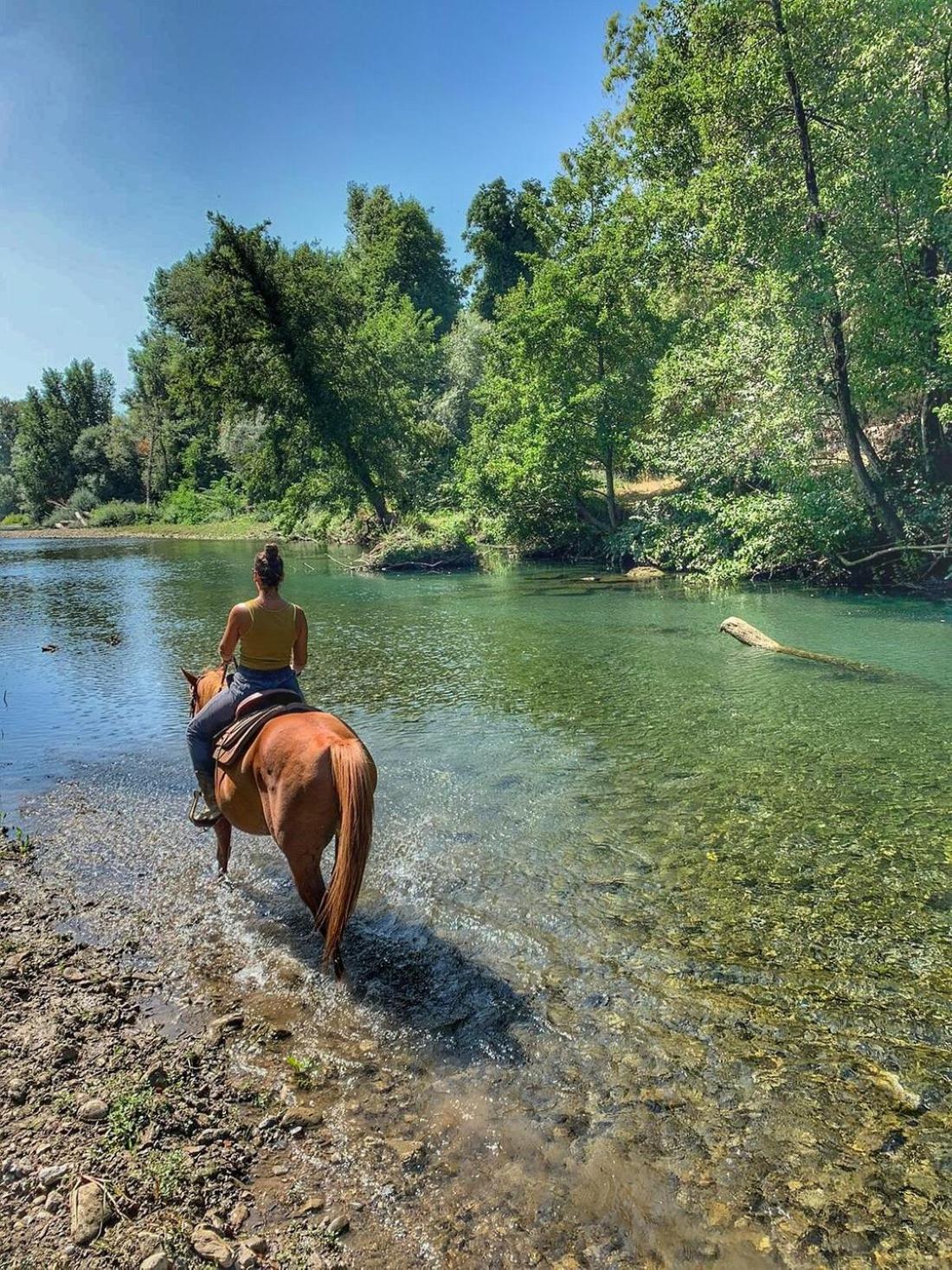 Residence Li Cylentos Policastro Scario A 2 Passi Dal Mare Policastro Bussentino Εξωτερικό φωτογραφία